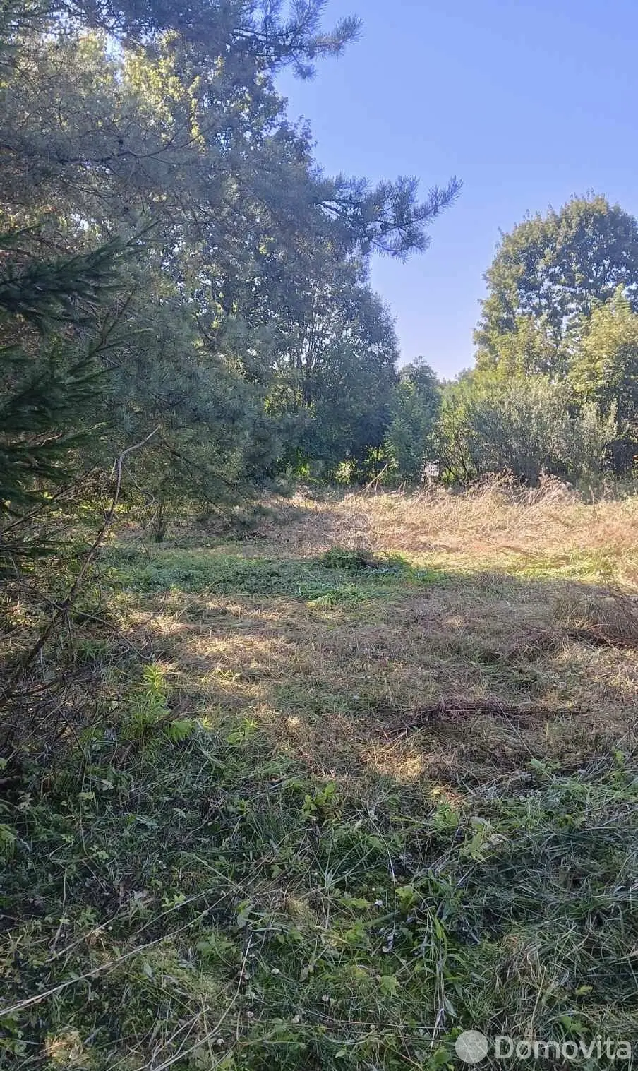 участок, Падеричи, ул. Центральная, стоимость продажи 11 635 р.