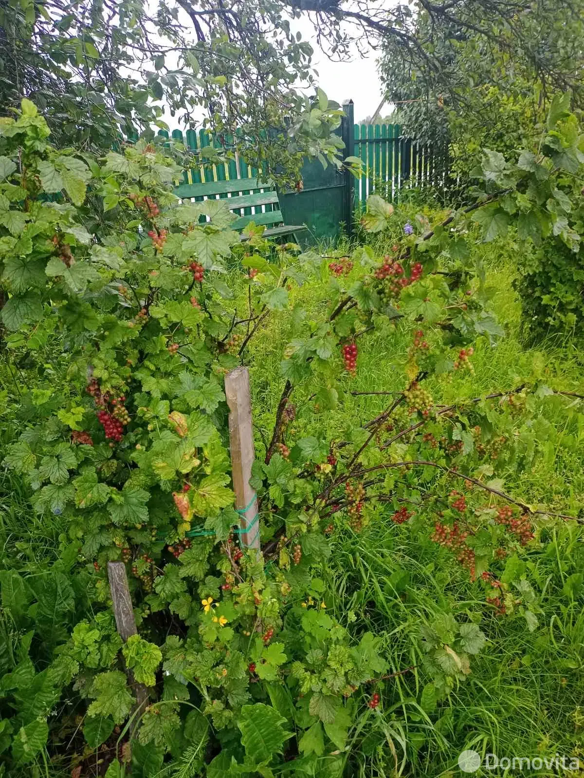 коттедж, Красный Дар, без посредников