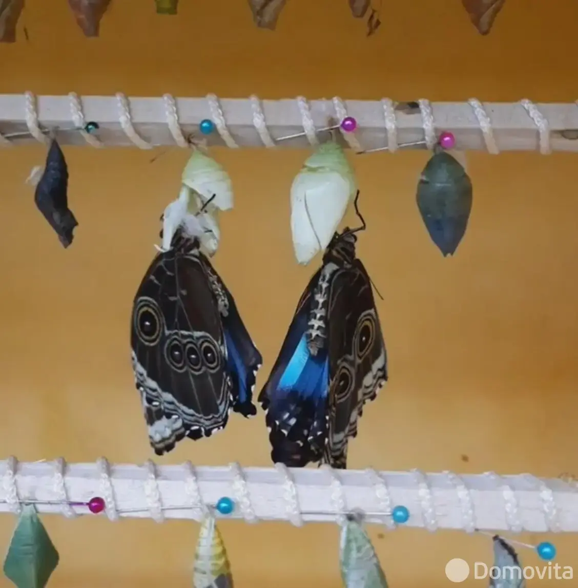 Купить торговое помещение на ул. Кирилла Туровского, д. 16 в Минске, 190000USD, код 998494 - фото 15