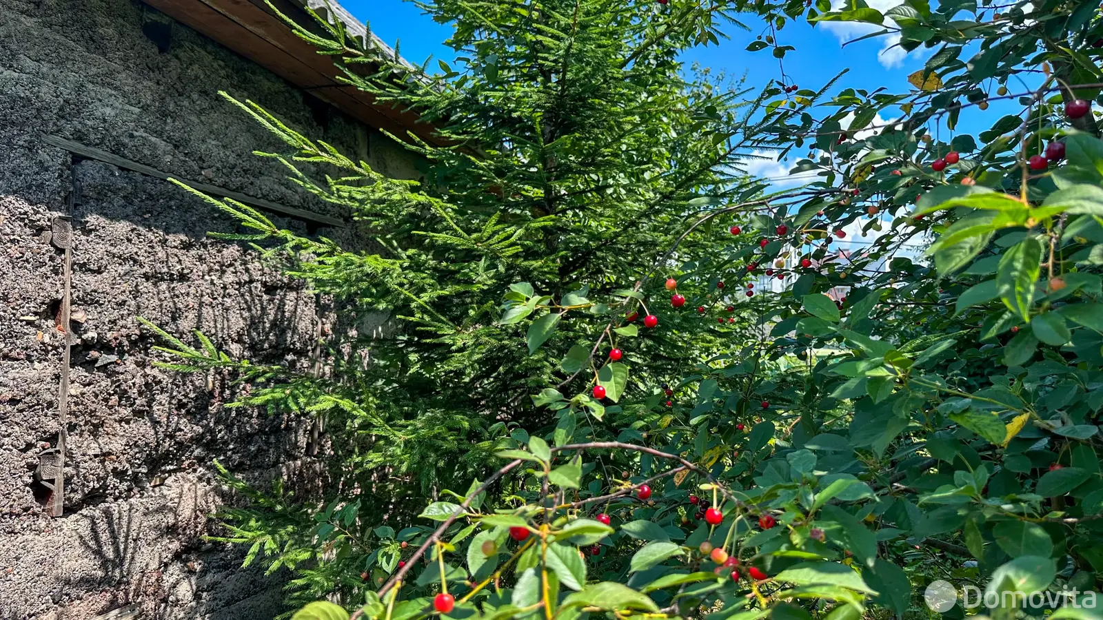 участок, Ждановичи, ул. Подлесная, д. 8