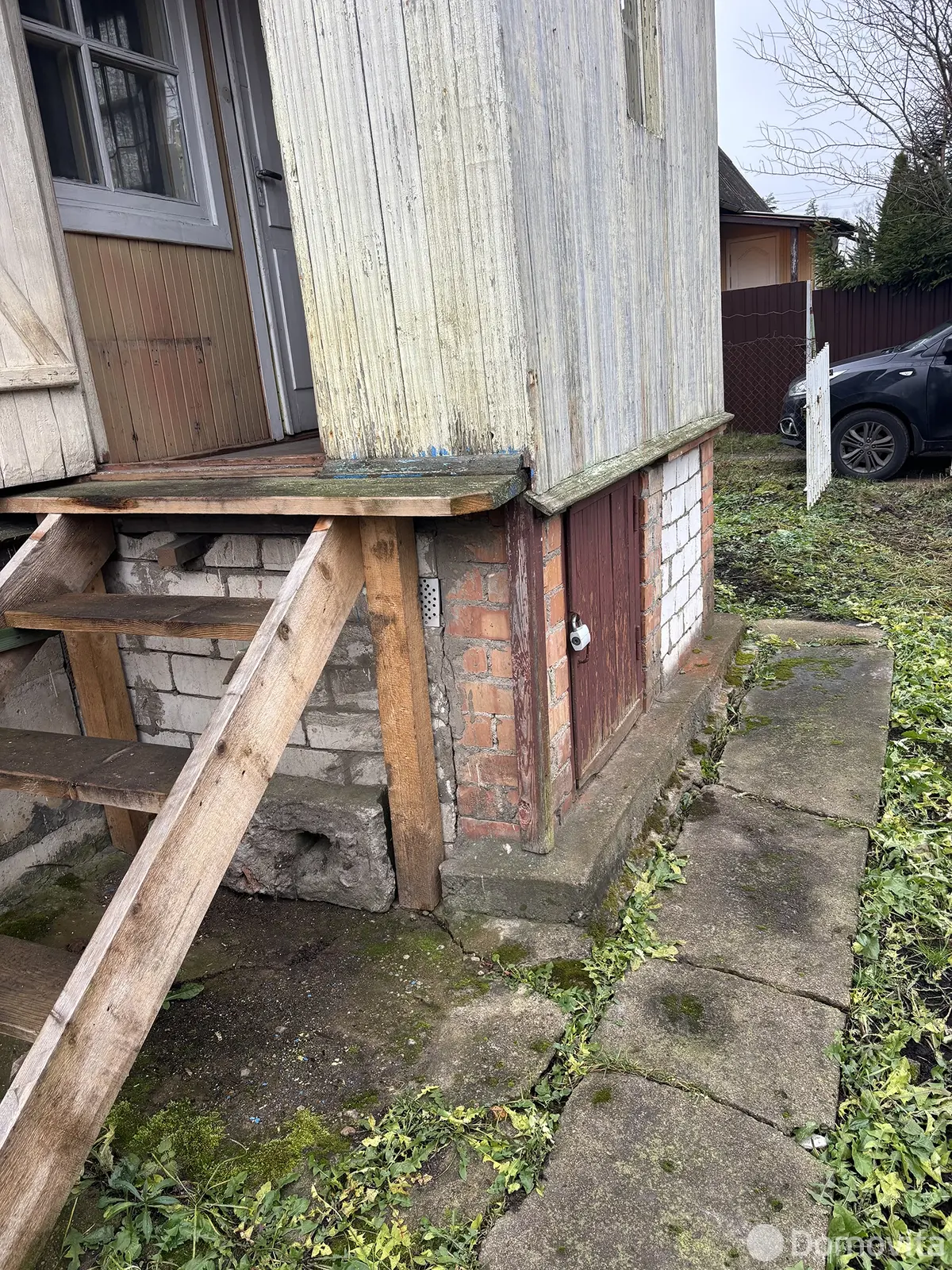 дача, Шарик, 