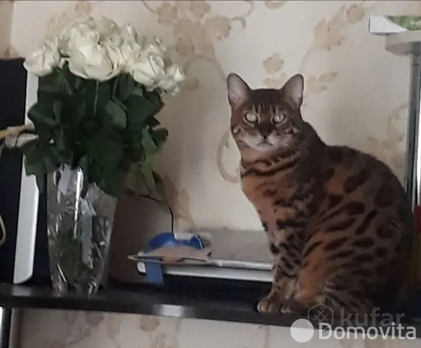 комната, Минск, пр-т Партизанский, д. 28/2 - лучшее предложение