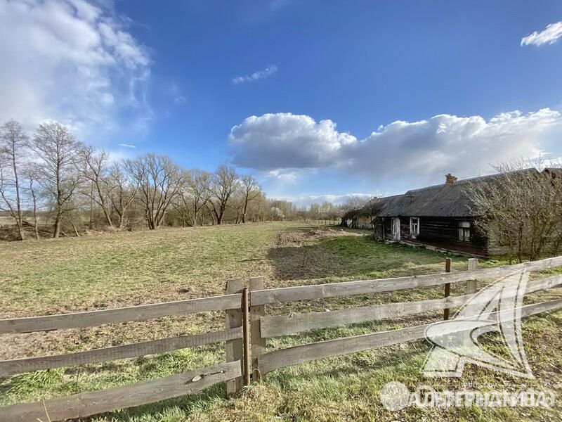 Купить земельный участок, 25 соток, Новосады, Брестская область, 17700USD, код 558035 - фото 11