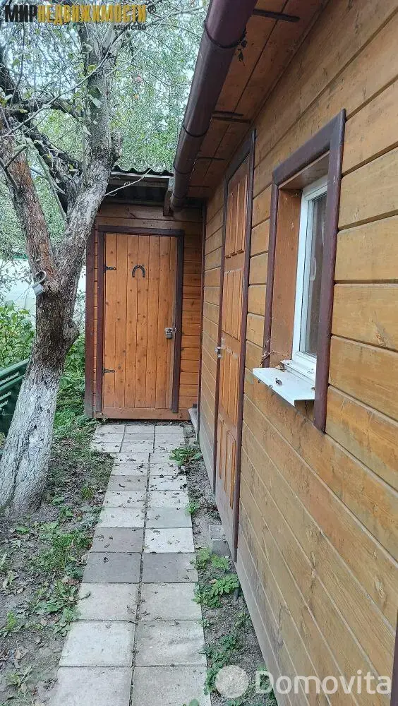 дача, Елочка, 