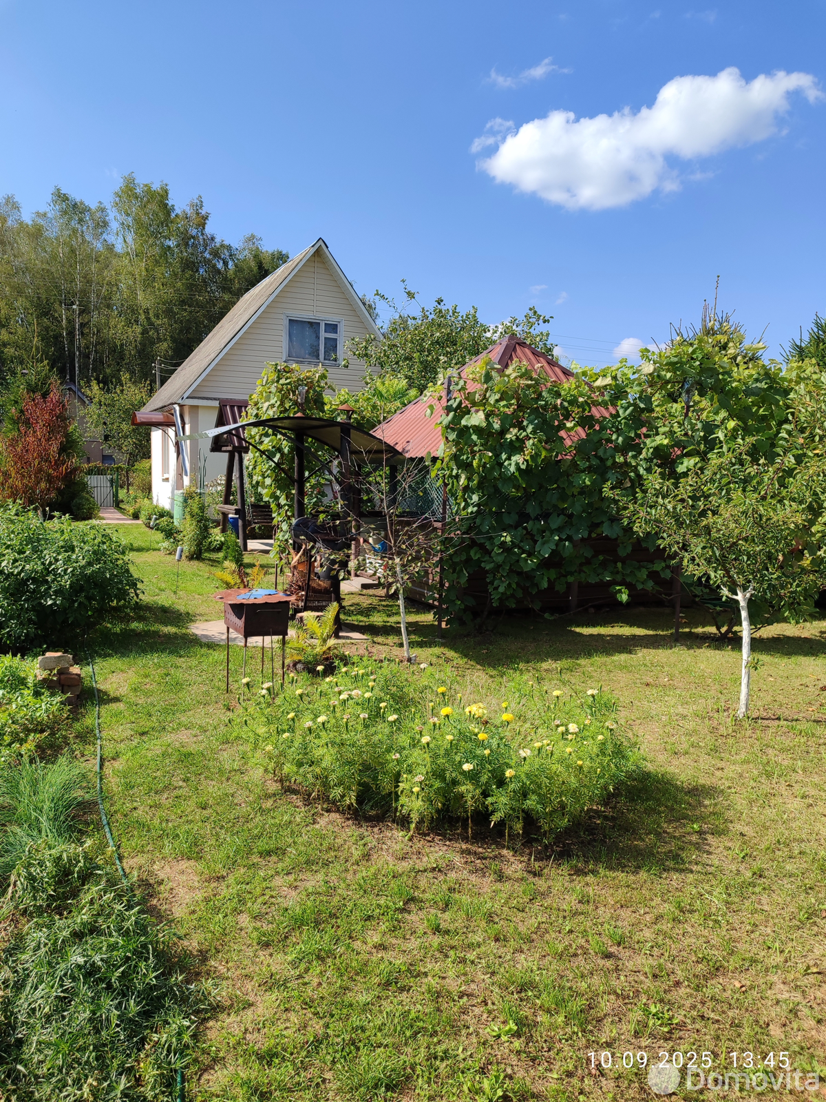 Купить 1-этажную дачу в Орше Витебская область, 8000USD, код 184312 - фото 12