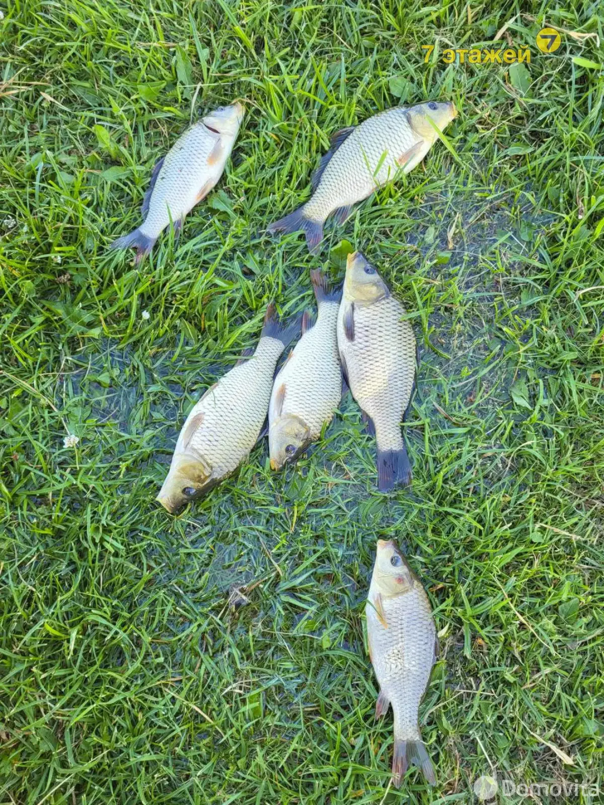 Продажа 2-этажной дачи в Полевой 2 Минская область, 86950USD, код 178452 - фото 28