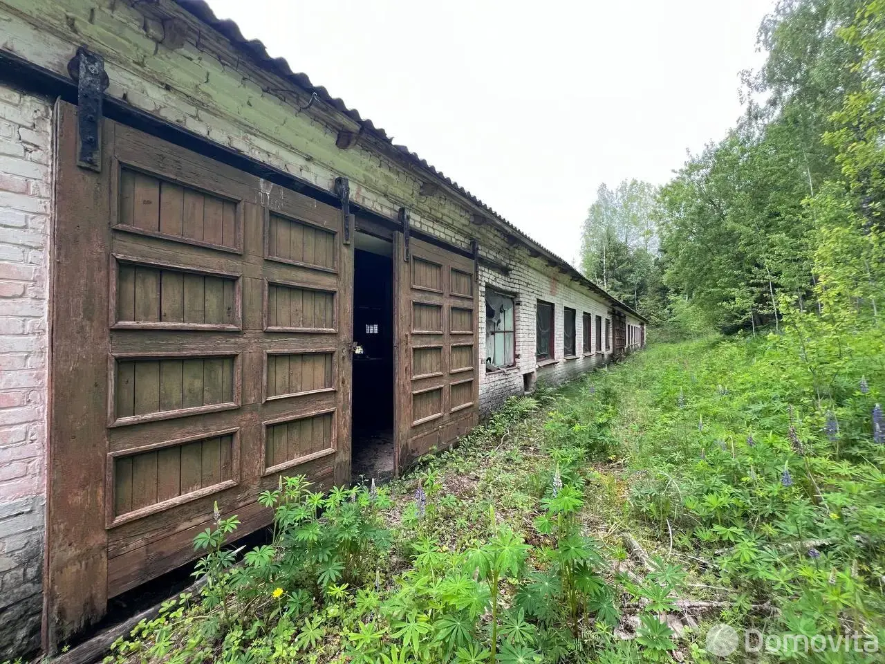офис, Новоколосово, ул. Победы, д. 10/в228 