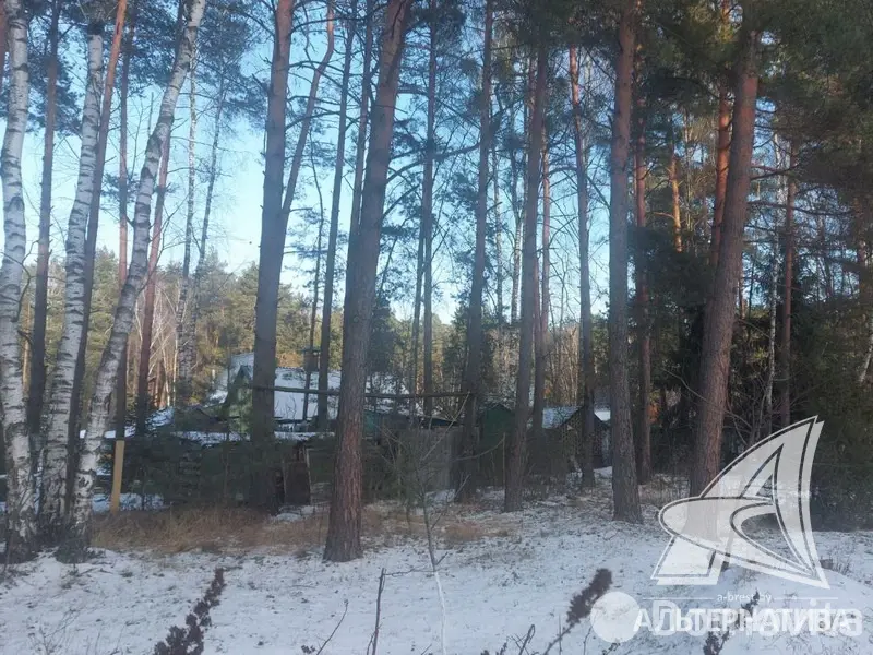 Купить 2-этажную дачу в Лира-5 Брестская область, 19800USD, код 184761 - фото 11