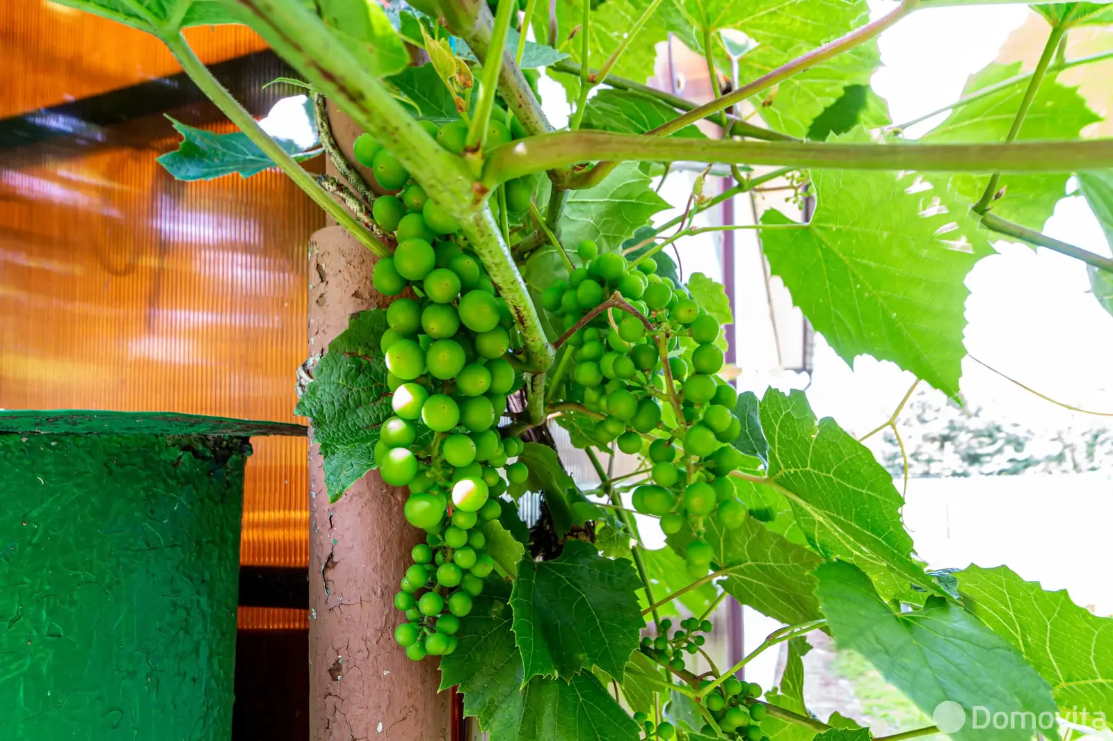 Продажа 2-этажной дачи в Голубые пруды Минская область, 19900USD, код 183469 - фото 21