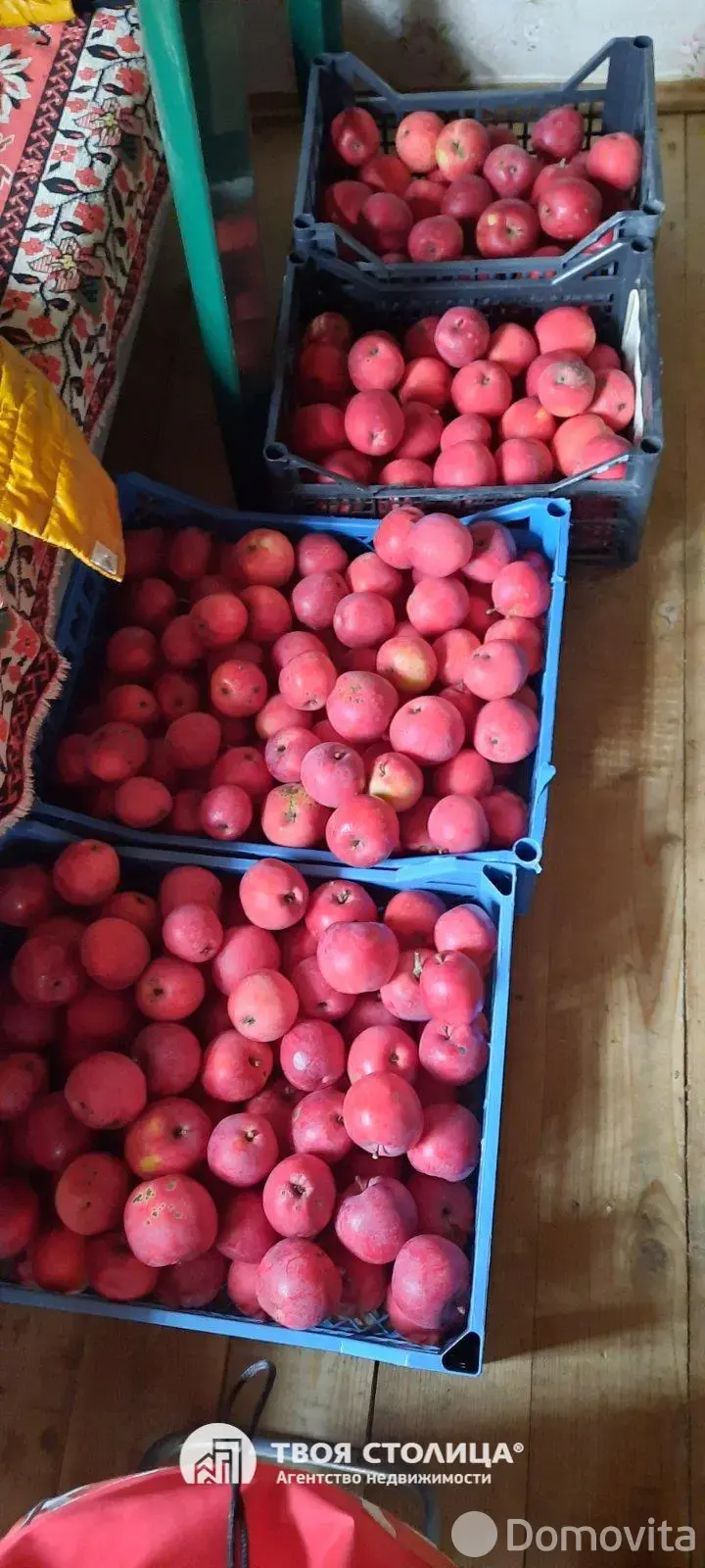 Продажа 1-этажной дачи в Золотой колосок Минская область, 15000USD, код 184931 - фото 21