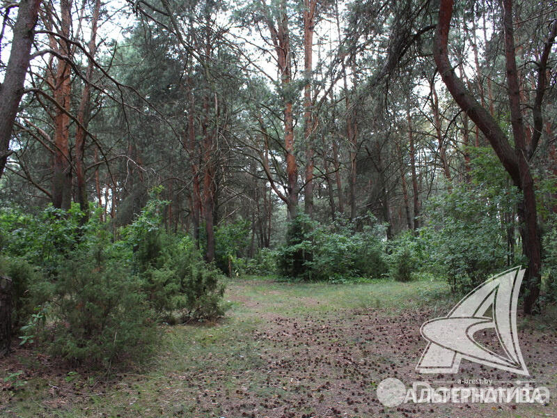 Купить офис в Бресте, 300000USD, код 3357 - фото 18