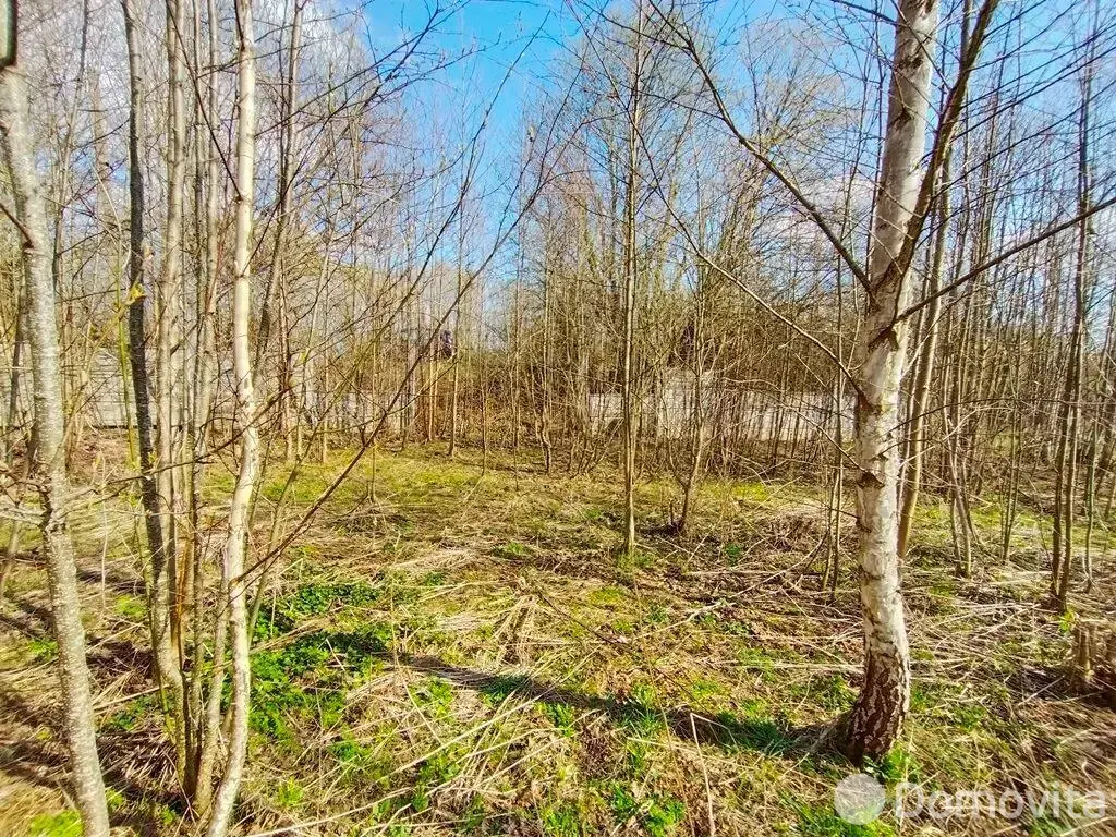 Стоимость продажи участка, Демидовичи, ул. Садовая, д. 31
