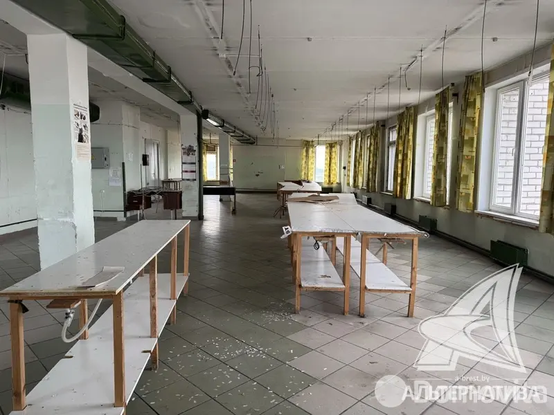 Купить помещение под сферу услуг в Бресте, - фото 9