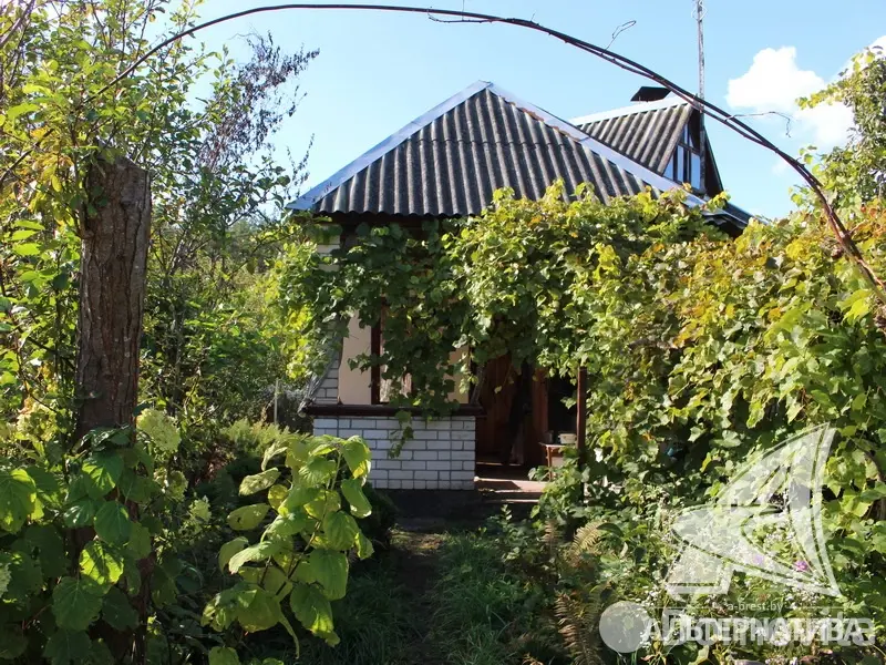 Купить 1-этажную дачу в Заречное-2008 Брестская область, 16000USD, код 180716 - фото 2