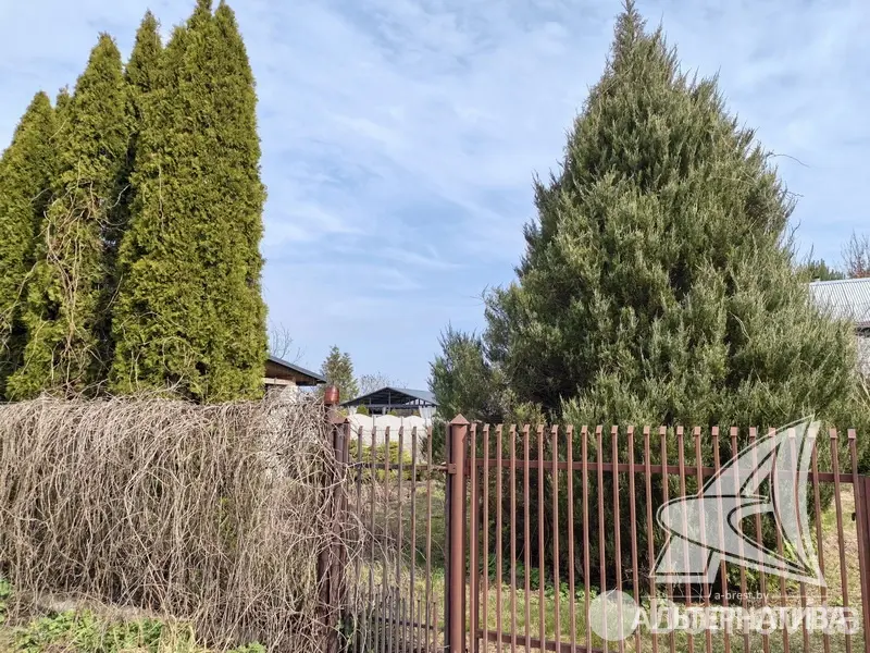 Купить 2-этажную дачу в Радуга Брестская область, 20000USD, код 185266 - фото 19