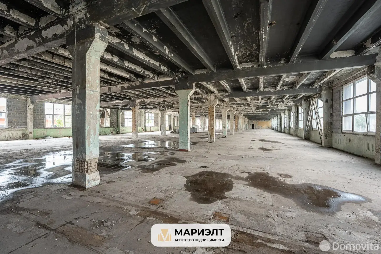 Помещение под сферу услуг в Минске, ул. Красная, д. 7/22, код 3350 - фото 14