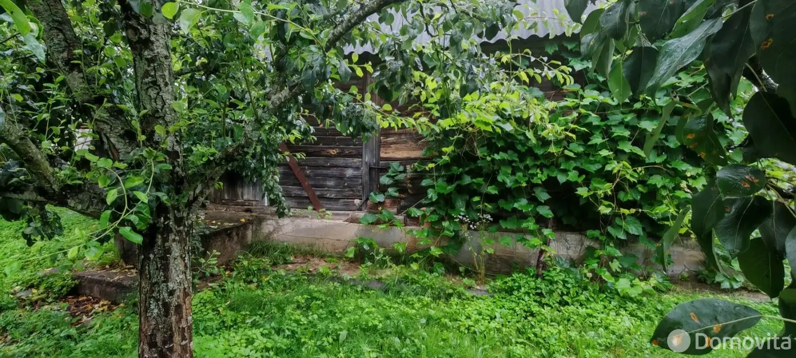 Купить 1-этажную дачу в КРИНИЦА-ГОРОШКИ Минская область, 45000USD, код 183696 - фото 15