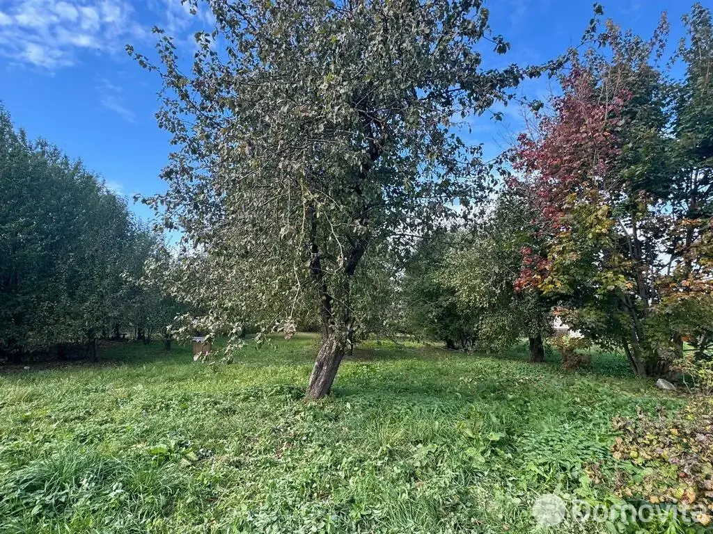 участок, Василевщина,