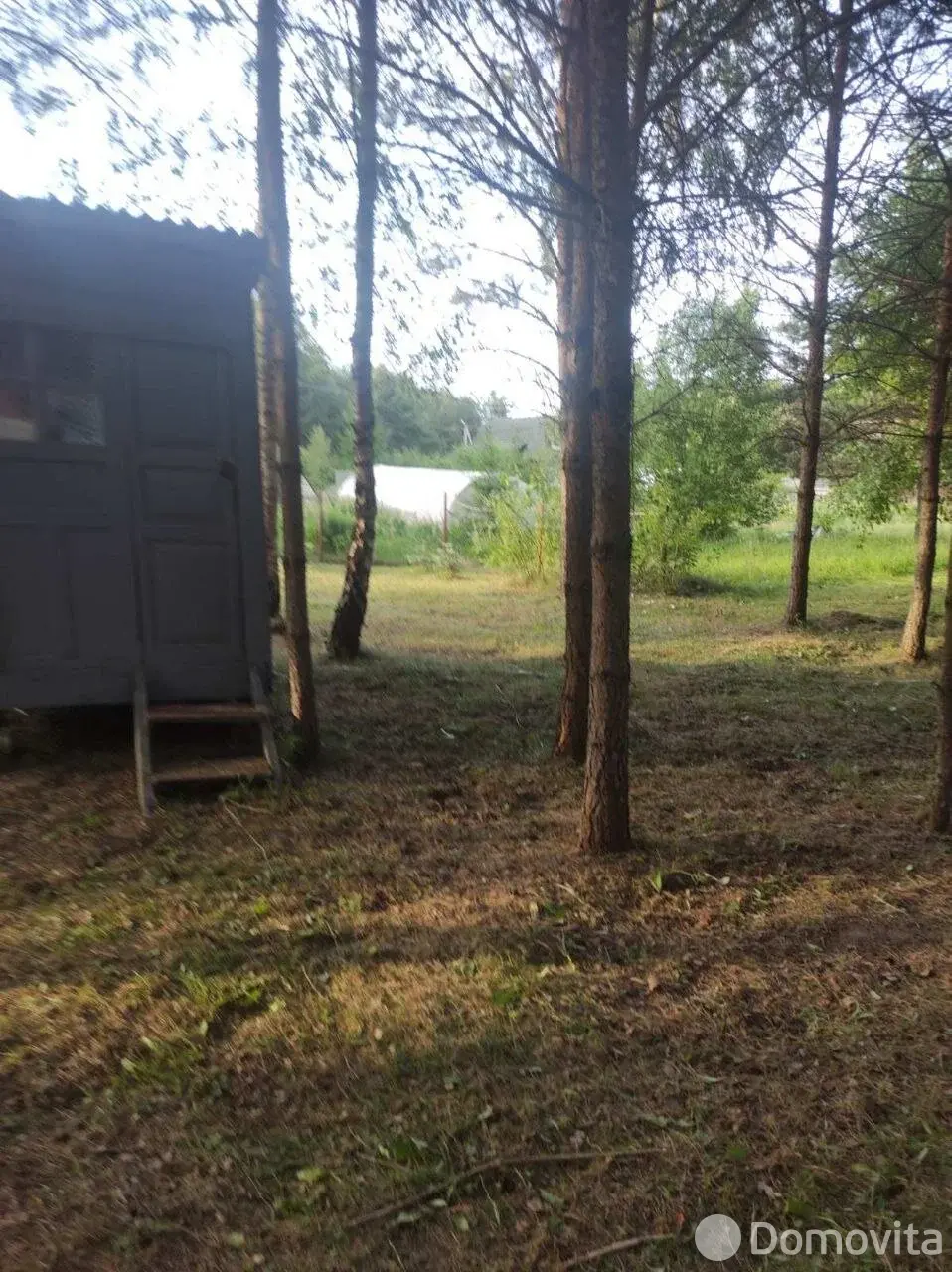 участок, Михалковичи, 