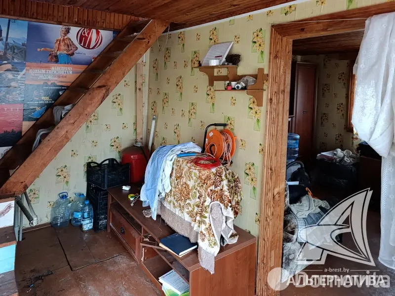 Купить 1-этажную дачу в Здоровье 2008 Брестская область, 15500USD, код 185353 - фото 12