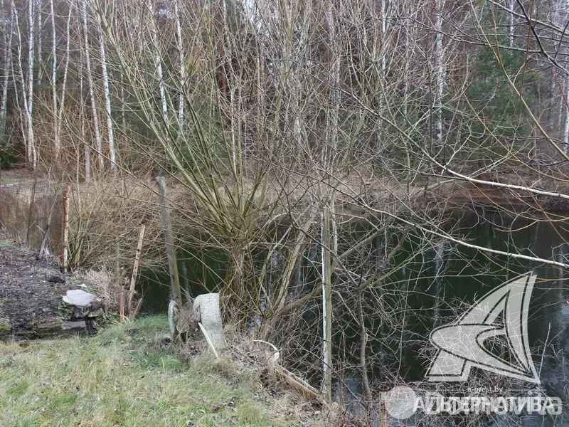 Продажа 2-этажной дачи в Здоровье 2008 Брестская область, 17000USD, код 181271 - фото 20