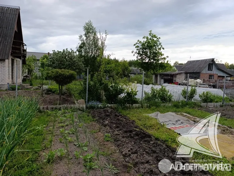 участок, Меркурий ТПП,
