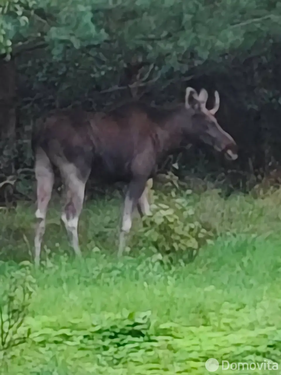  Коттедж на сутки в Пантелейках ул. Лесная, д. 59, 100USD, код 1272 - фото 21