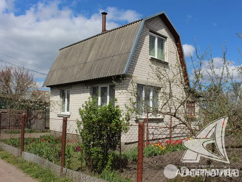 дача, Суница-80, 