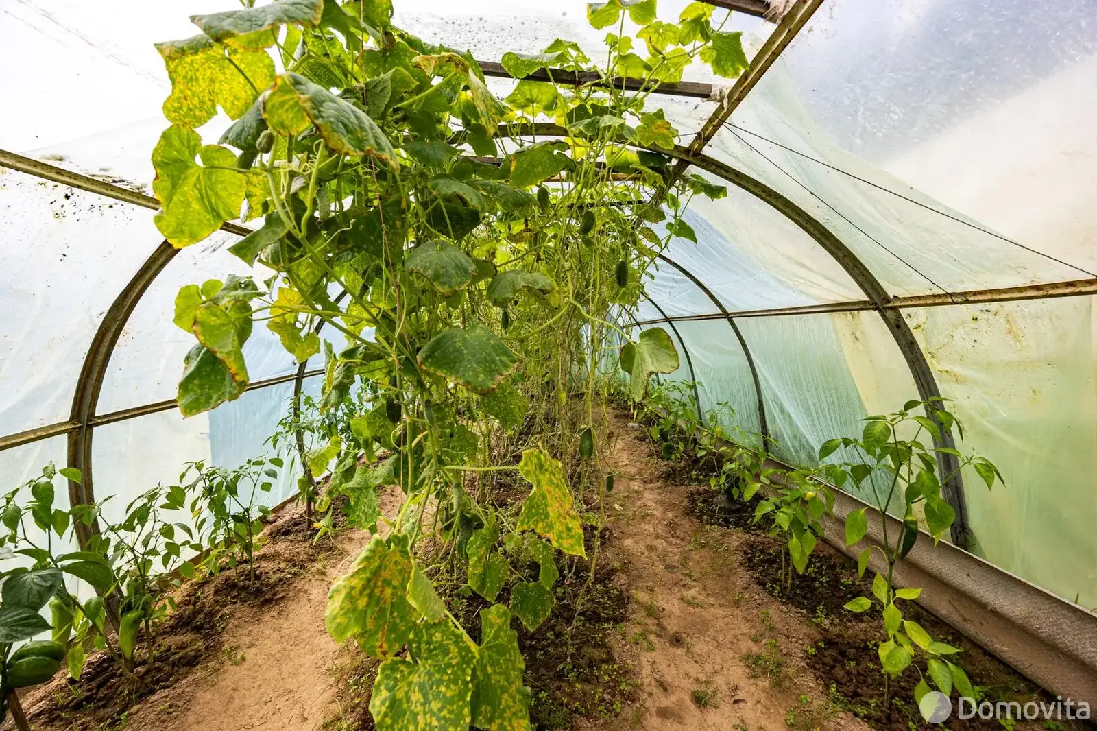 Купить 2-этажную дачу в Дорожник Минская область, 13000USD, код 183935 - фото 18