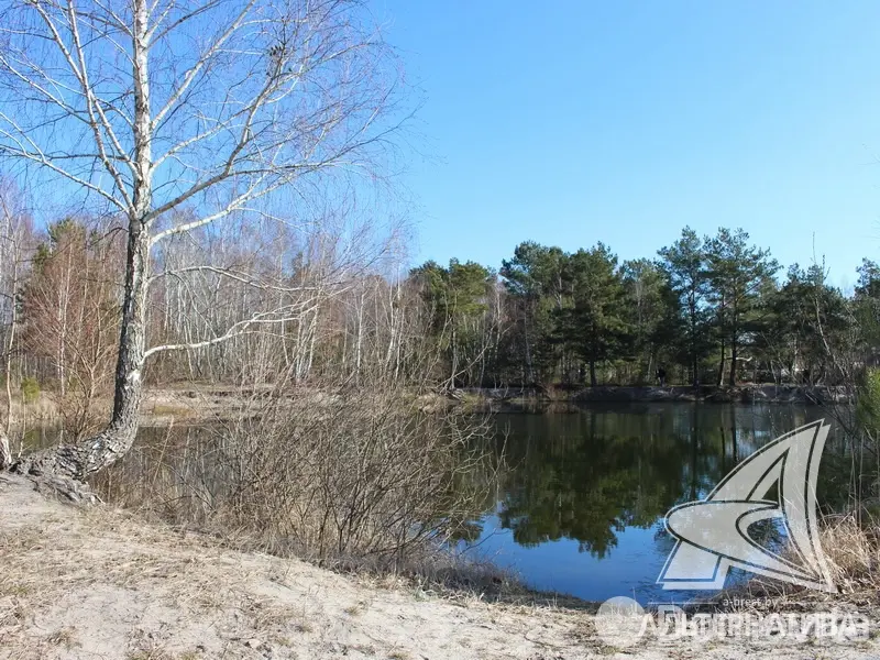 Купить 2-этажную дачу в Астра Гродненская область, 79000USD, код 168417 - фото 36