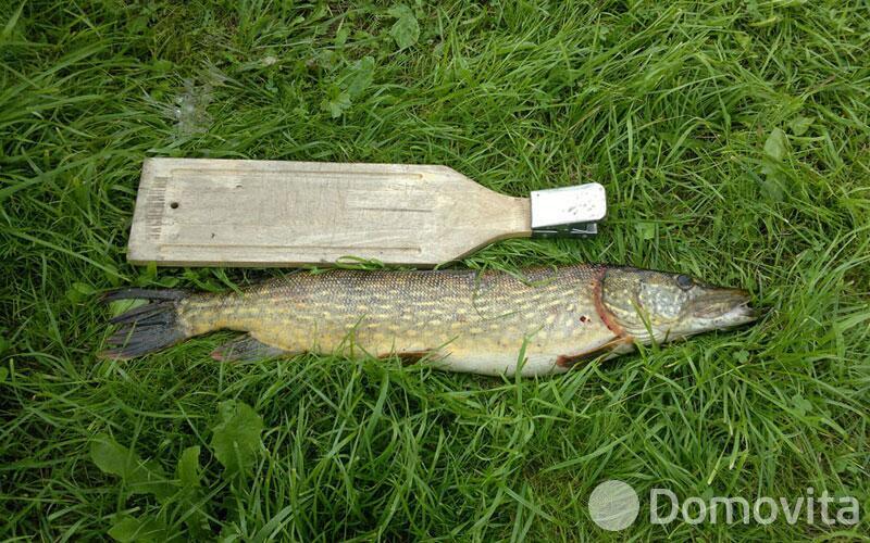 Купить помещение под сферу услуг в Колоднице, ул. Центральная, д. 108 - фото 26