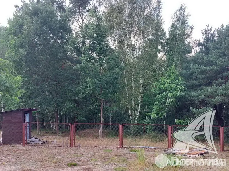 Продажа 1-этажной дачи в Армеец-3 Брестская область, 71000USD, код 183957 - фото 12