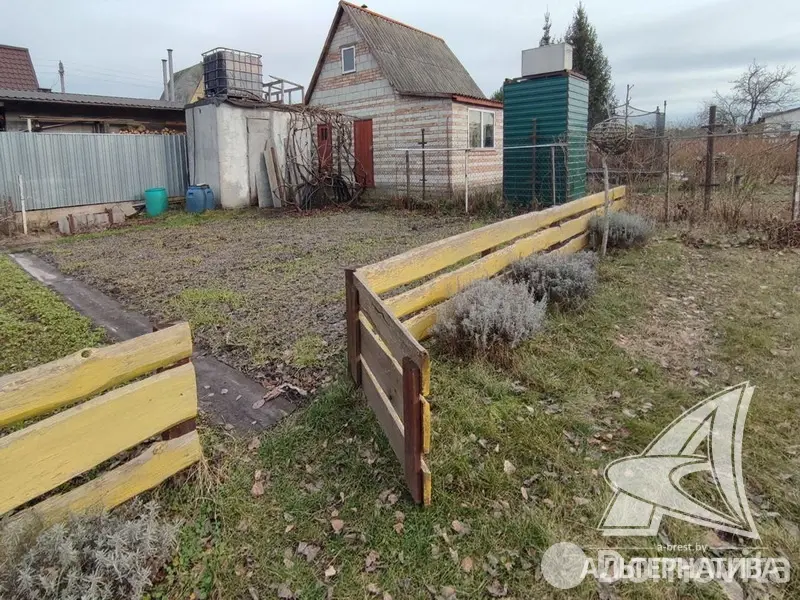 дача, Березка-87, 