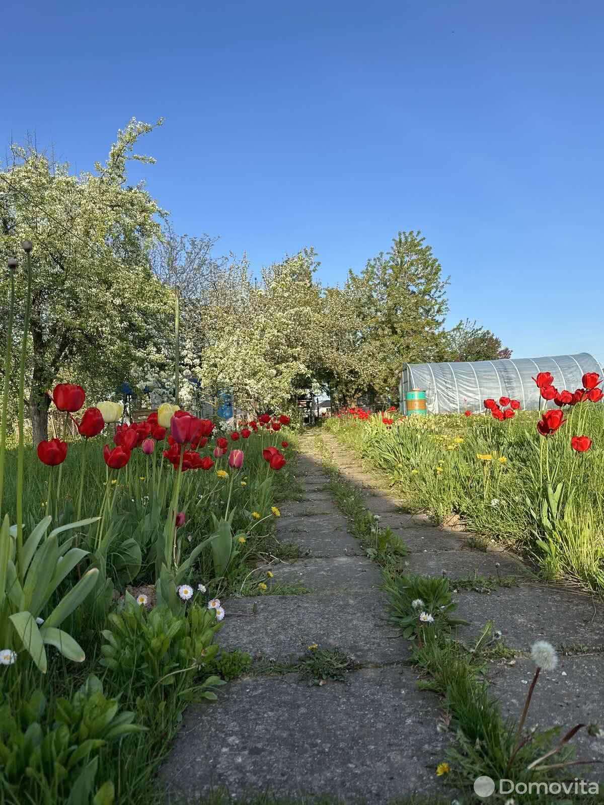 Продажа 1-этажной дачи в АНТОСИНО Минская область, 22000USD, код 178162 - фото 16