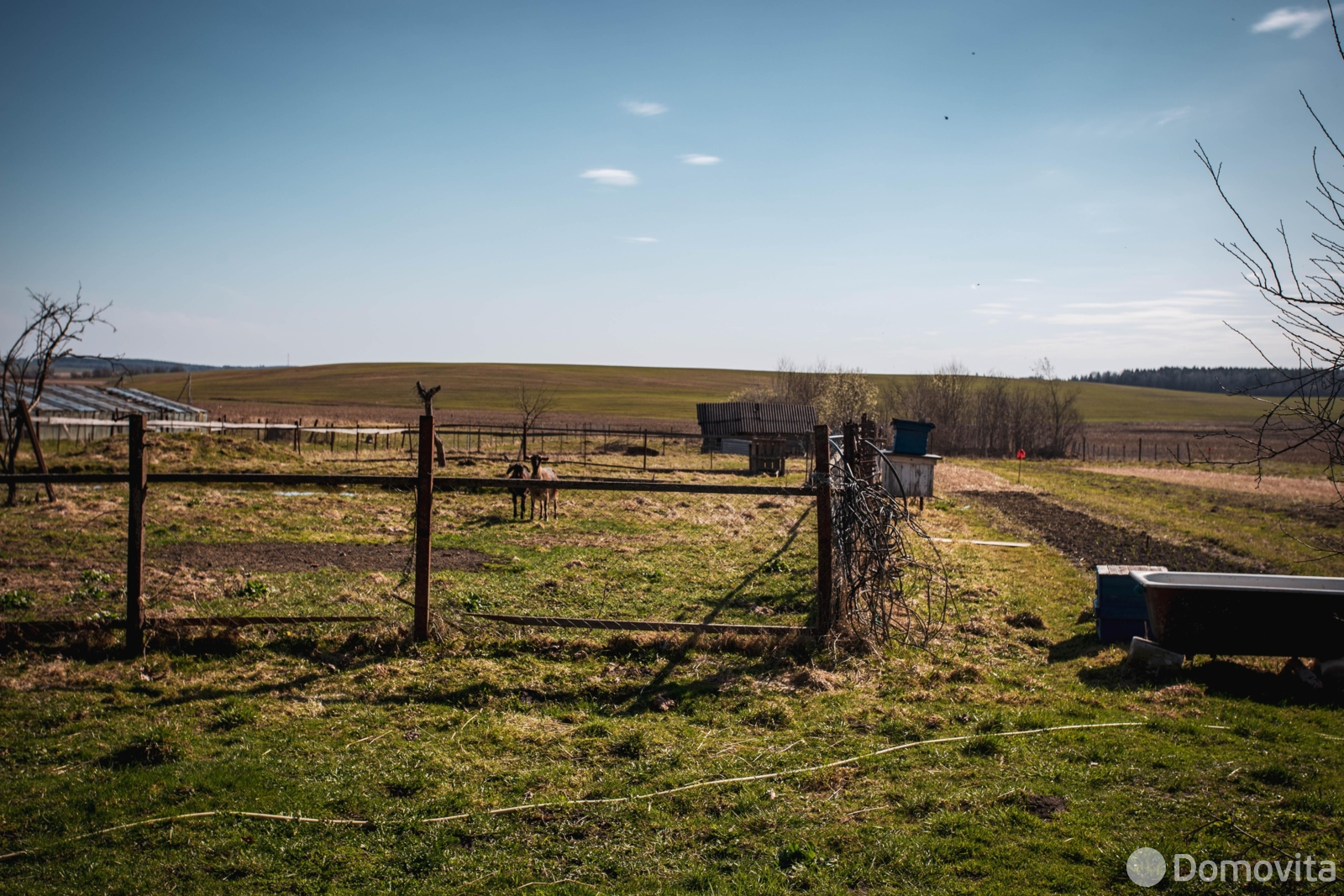 участок, Казеково, ул. Центральная 