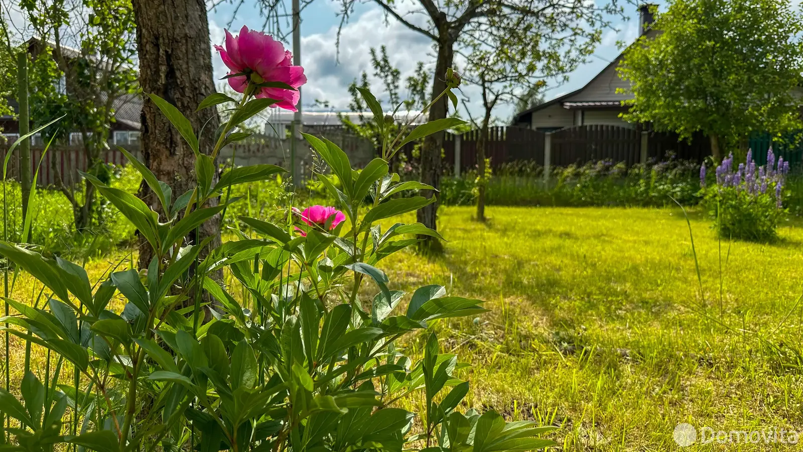 купить дачу, ОРБИТА-82, д. 56