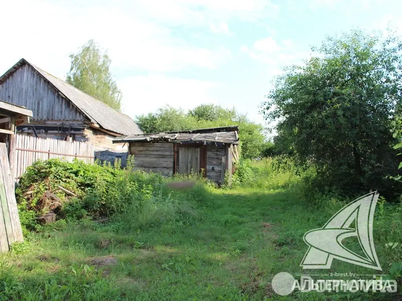 Купить земельный участок, 24.72 соток, Ставище, Брестская область, 10000USD, код 568697 - фото 12