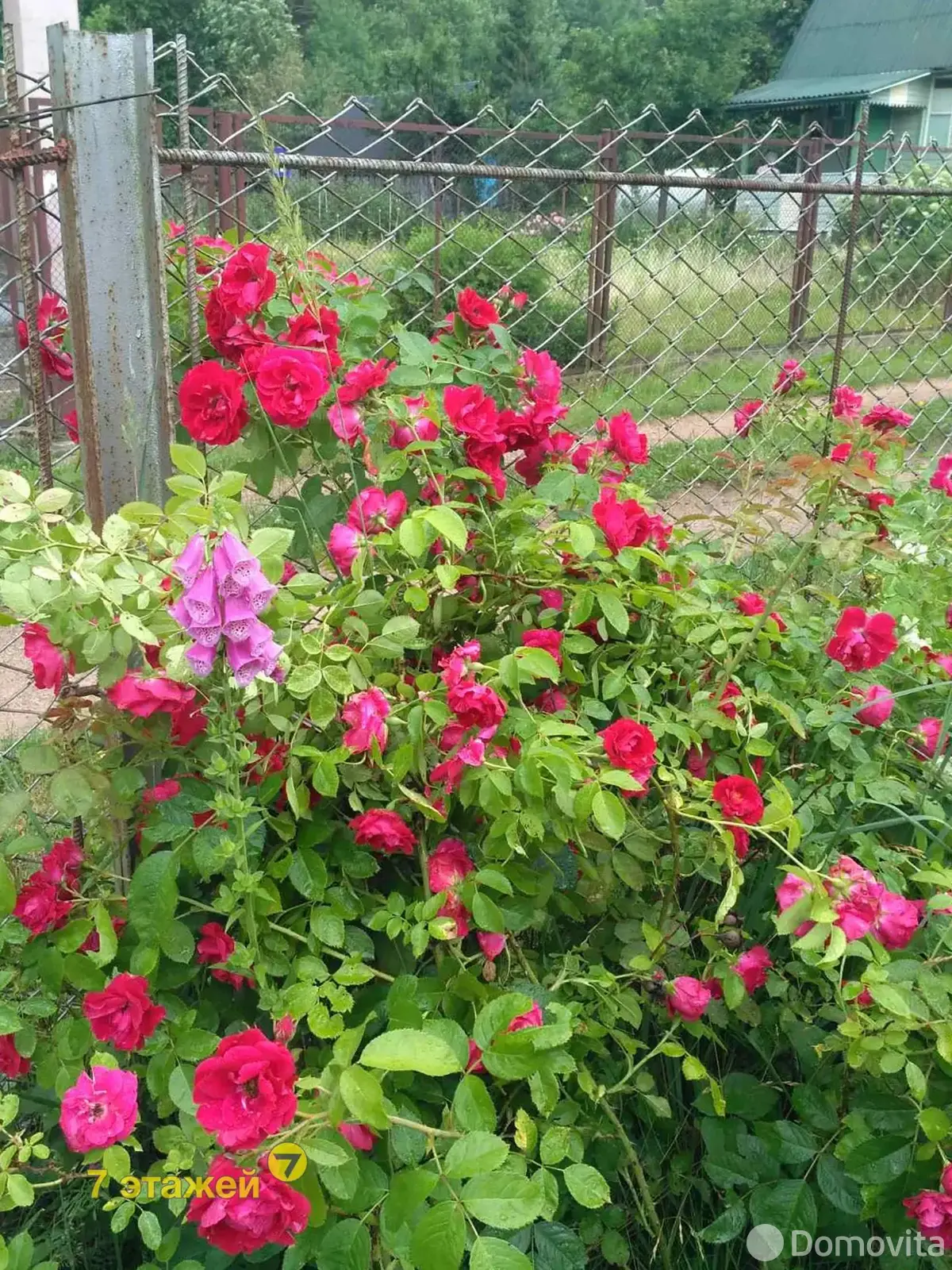 Продажа 1-этажной дачи в Камвольщик Минская область, 10900USD, код 182407 - фото 50