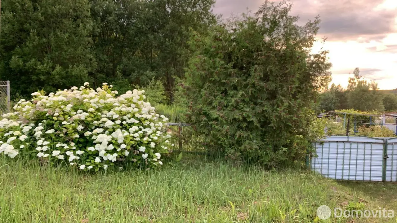 дача, Берёзка,