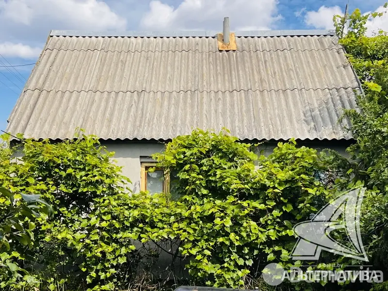 Цена продажи участка, Урожай ОАО Брестхлебопродукт, 
