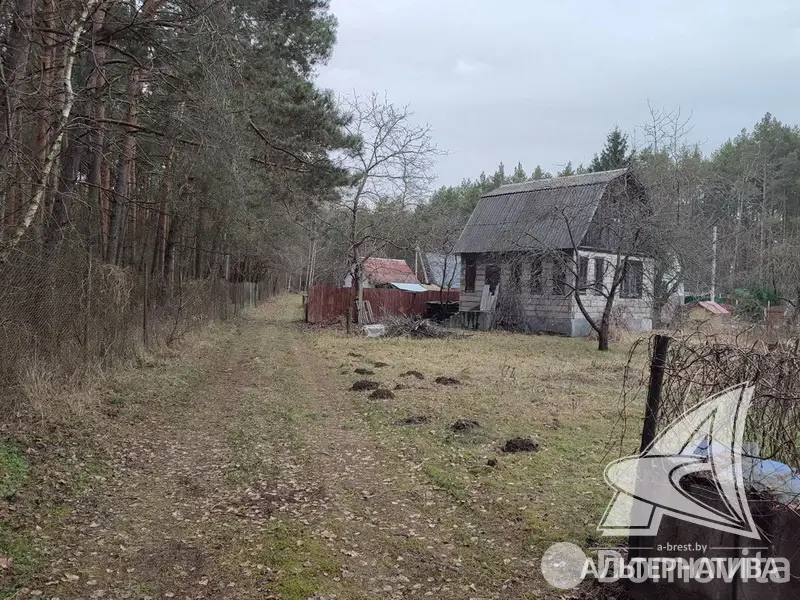 Купить 1-этажную дачу в Чернинский Родничок Брестская область, 14900USD, код 184251 - фото 11