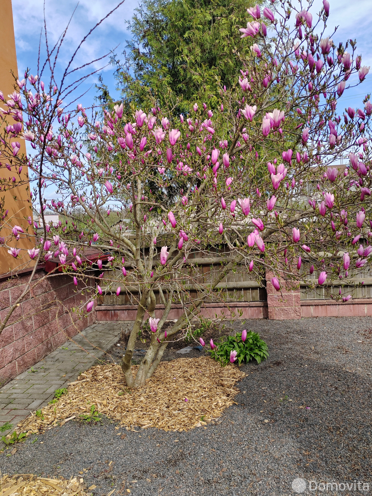  Коттедж на сутки в Несвиже ул. Пролетарская, д. 36, 50BYN, код 1244 - фото 21