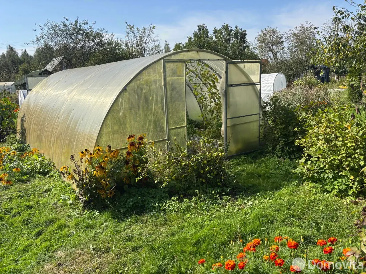 дача, Голубика,