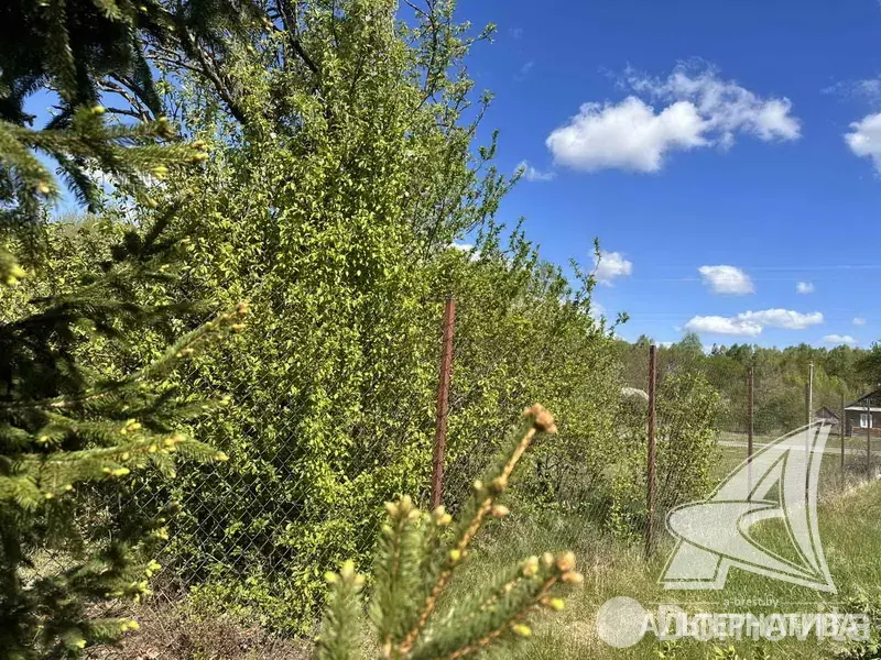 дом, Черняны,