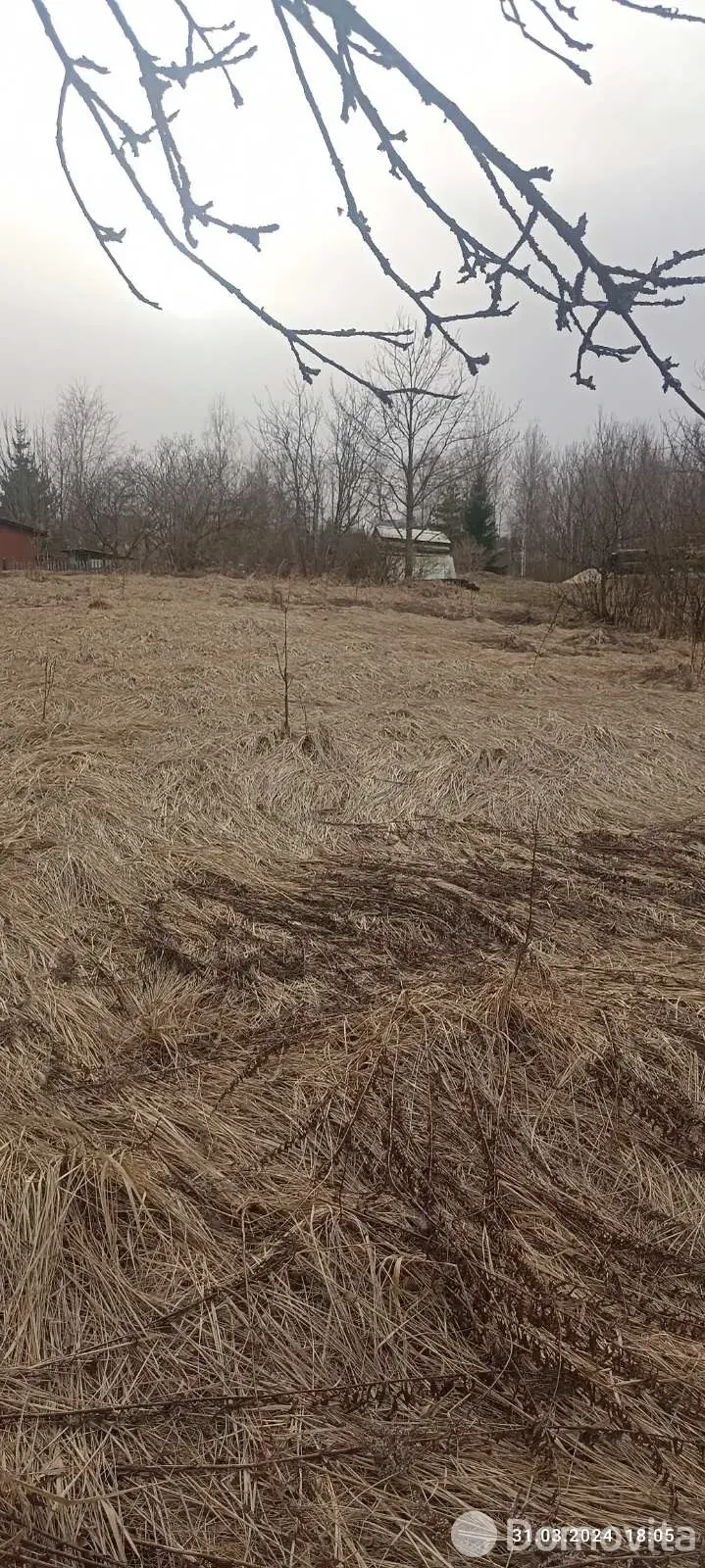 Купить земельный участок, 9.11 соток, Городняны, Витебская область, 4000USD, код 570598 - фото 11