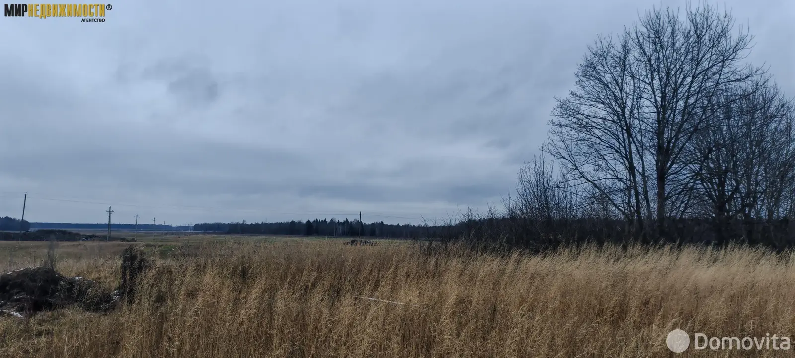 Купить земельный участок, 10 соток, Колодино, Минская область, 10900USD, код 571255 - фото 11