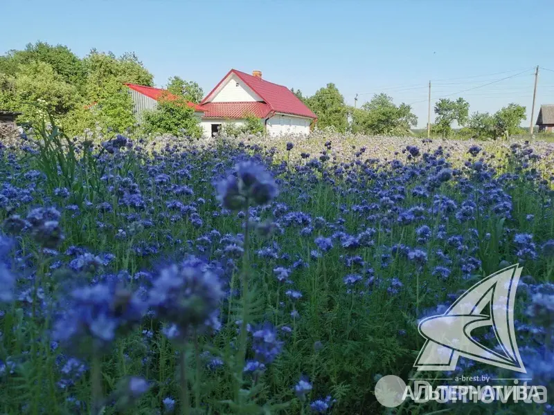 коттедж, Поддубно, 