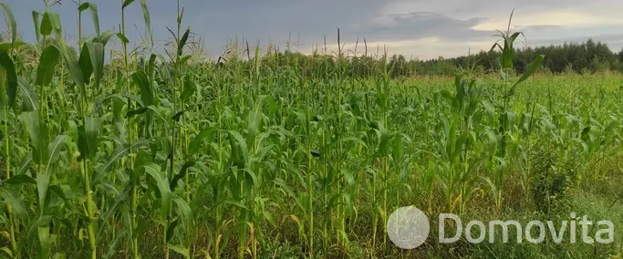 дом, Полторановичи, ул. Комарова, стоимость продажи 38 160 р.