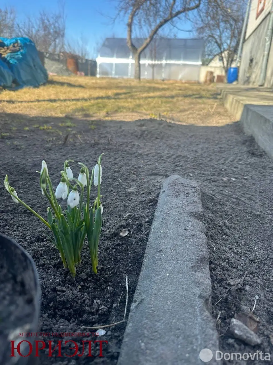 дом, Поколюбичи, ул. Луговая - лучшее предложение