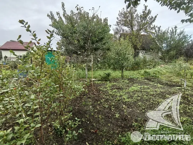 дача, Керамик-1, 